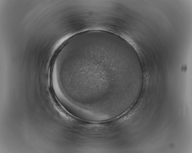 X0000089921127200707271730