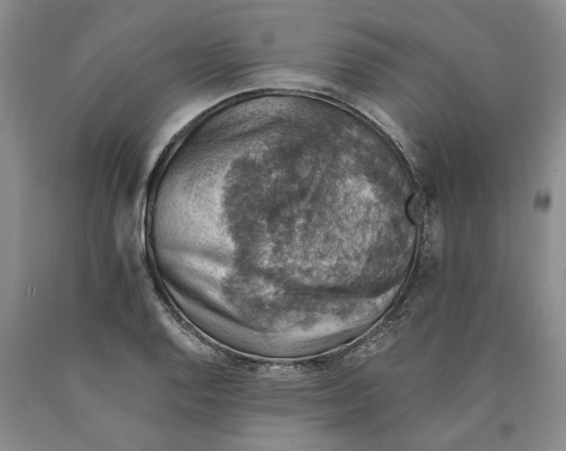 X0000089921128200707271730