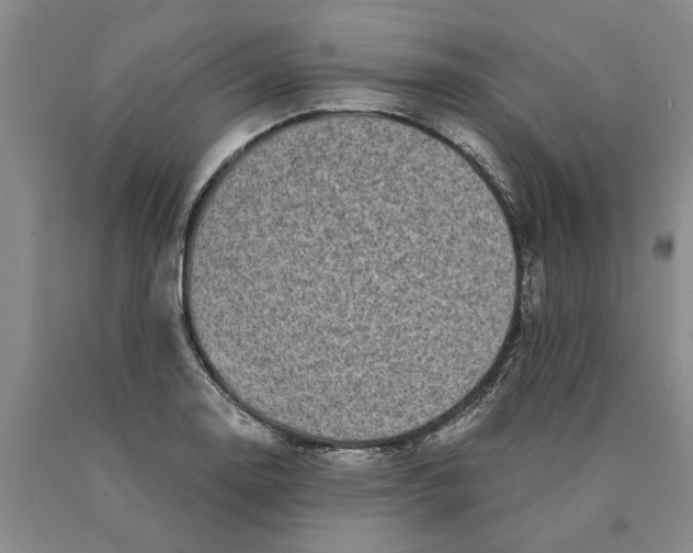 X0000089921130200707271730