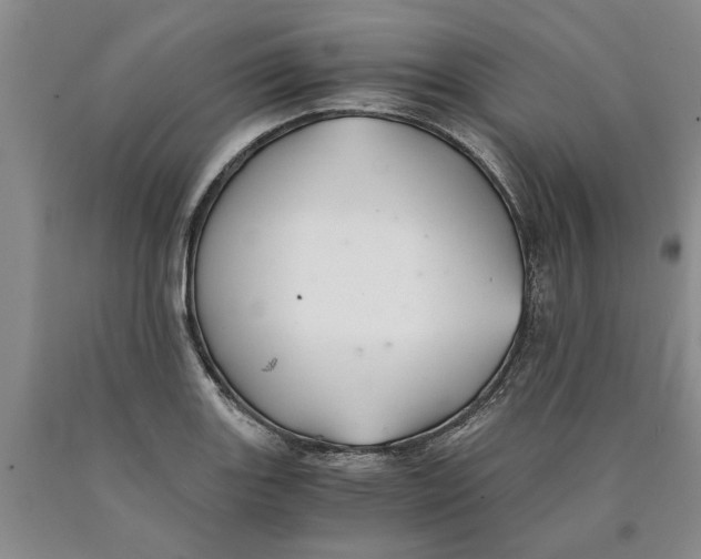 X0000089921131200707271730