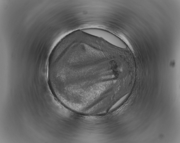 X0000089921132200707271730