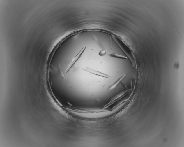 X0000089921134200707271730
