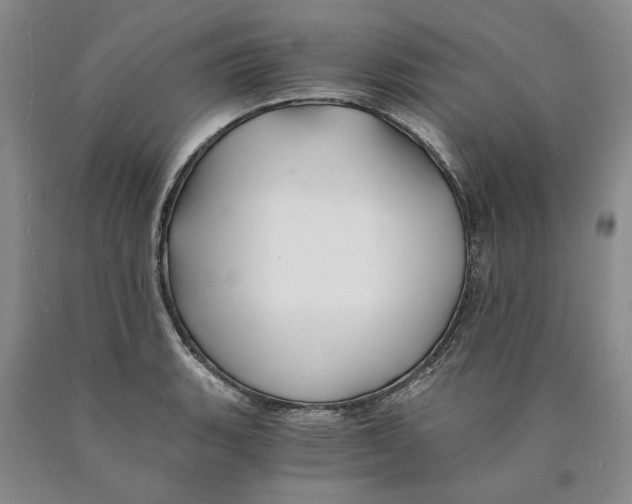 X0000089921135200707271730