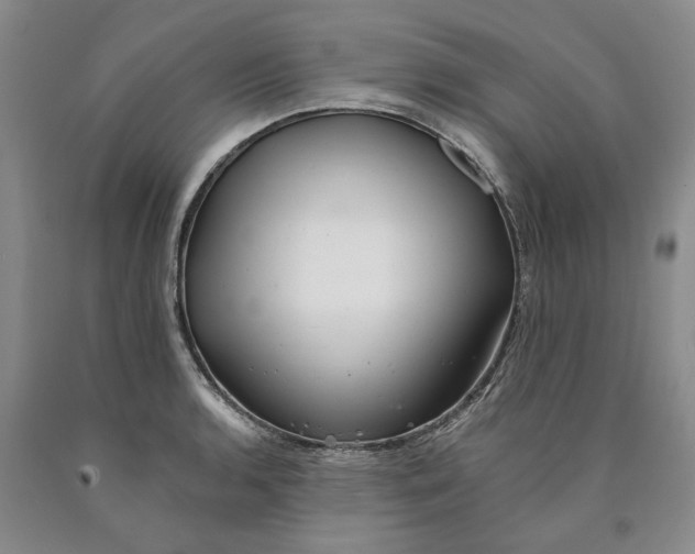 X0000089921136200707271730