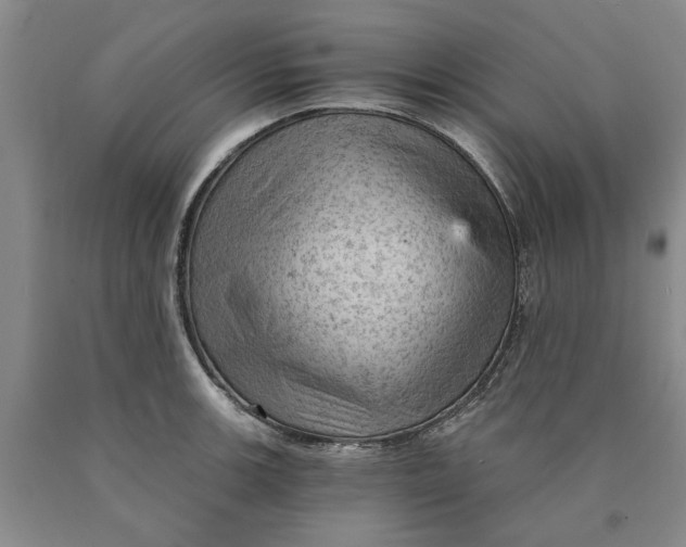 X0000089921139200707271730