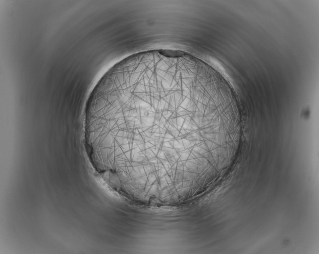 X0000089921140200707271730