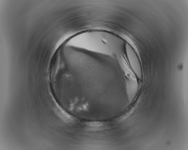 X0000089921141200707271730