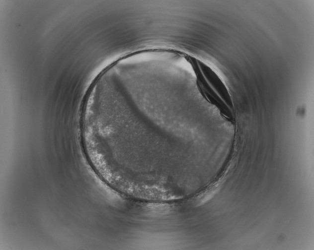 X0000089921142200707271731