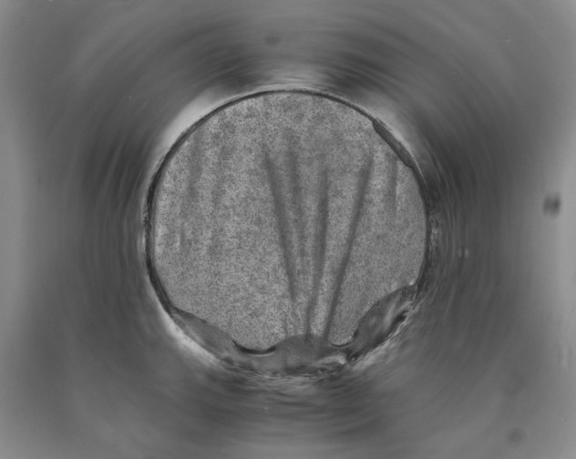 X0000089921143200707271731