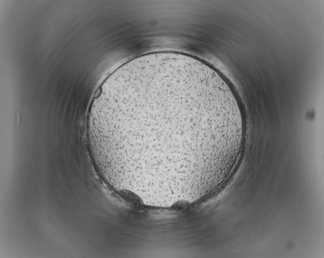 X0000089921145200707271731