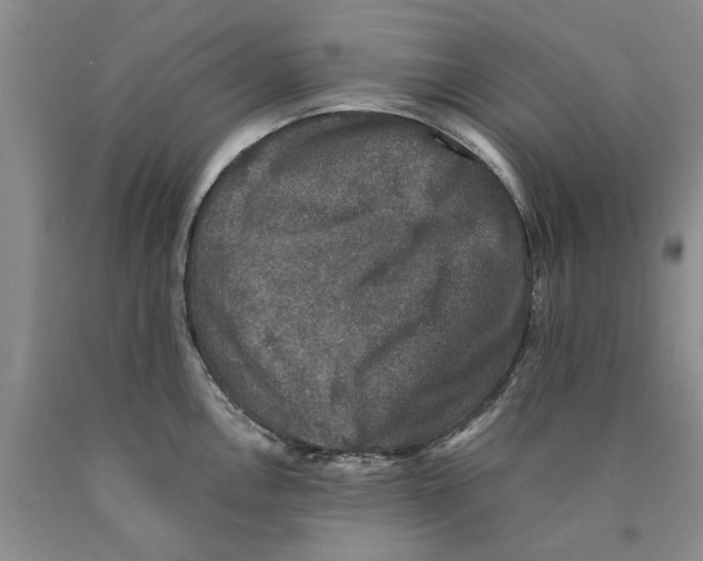 X0000089921146200707271731