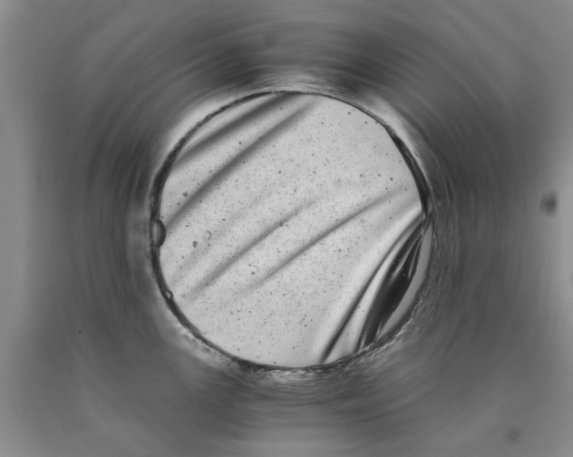 X0000089921147200707271731