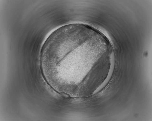 X0000089921148200707271731