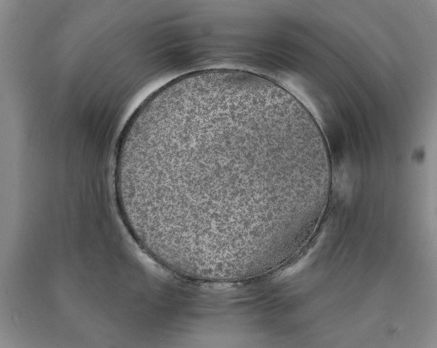 X0000089921149200707271731