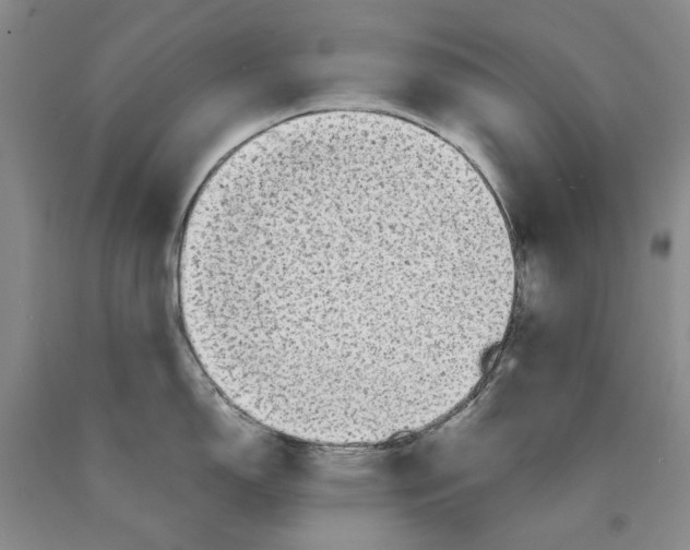 X0000089921150200707271731