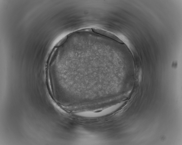 X0000089921151200707271731