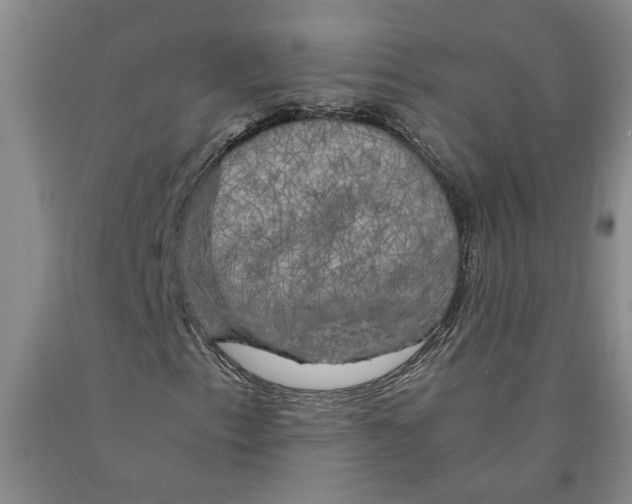 X0000089921153200707271730