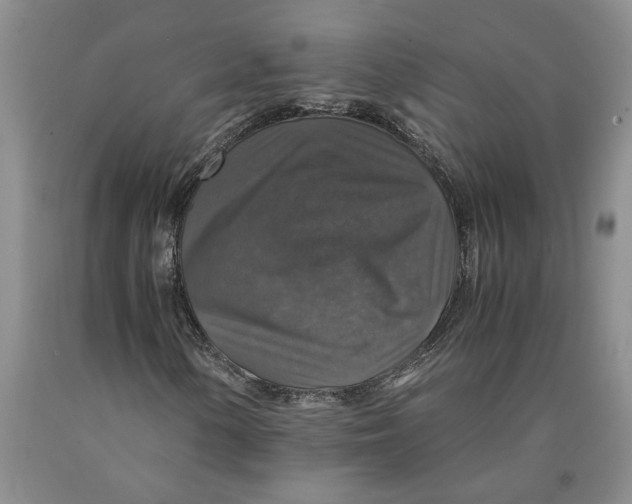 X0000089921154200707271730