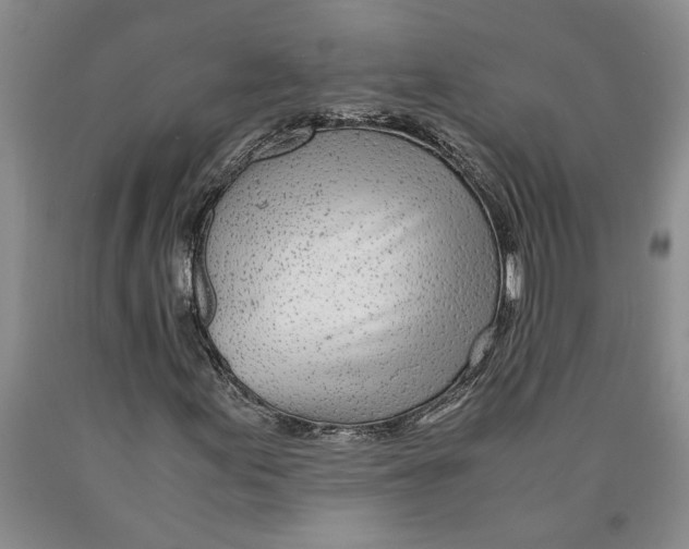 X0000089921155200707271730