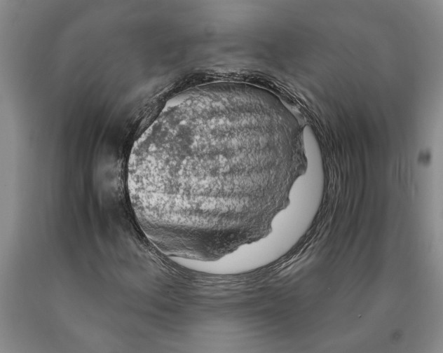 X0000089921156200707271730