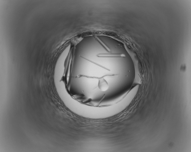 X0000089921157200707271730