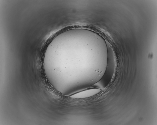 X0000089921160200707271730