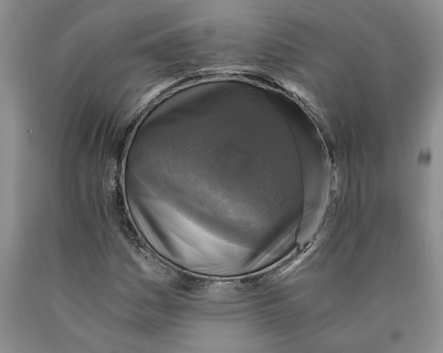 X0000089921161200707271730