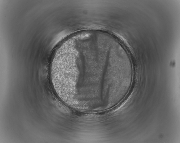 X0000089921163200707271730