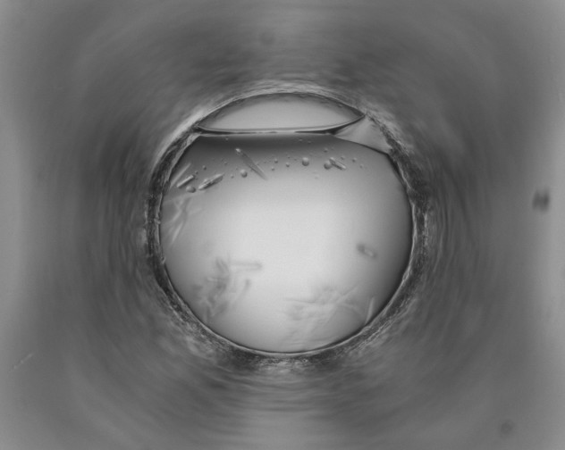 X0000089921165200707271730