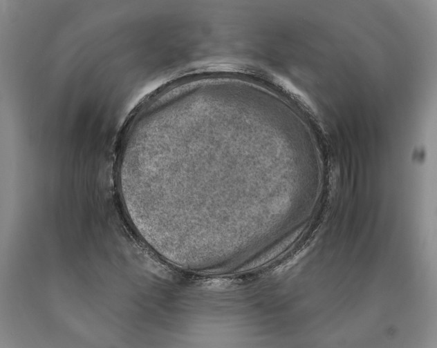 X0000089921166200707271730