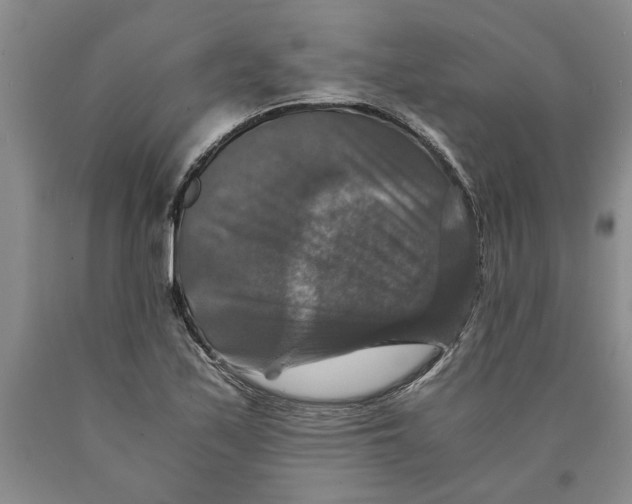 X0000089921171200707271730