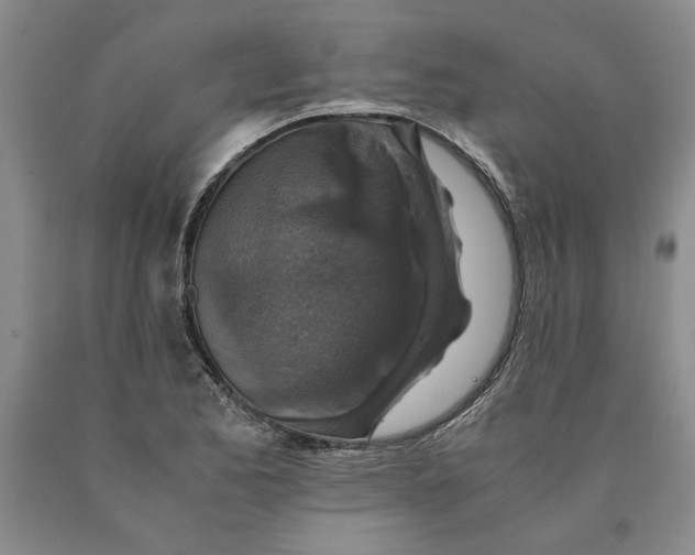 X0000089921173200707271730