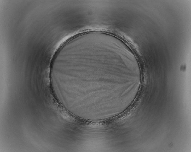 X0000089921174200707271730