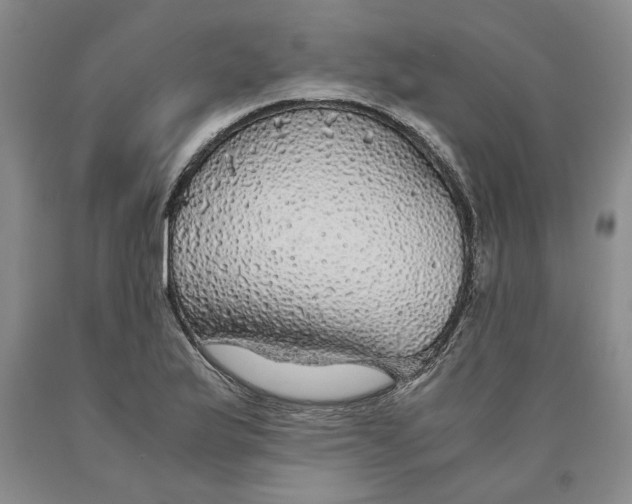 X0000089921175200707271730