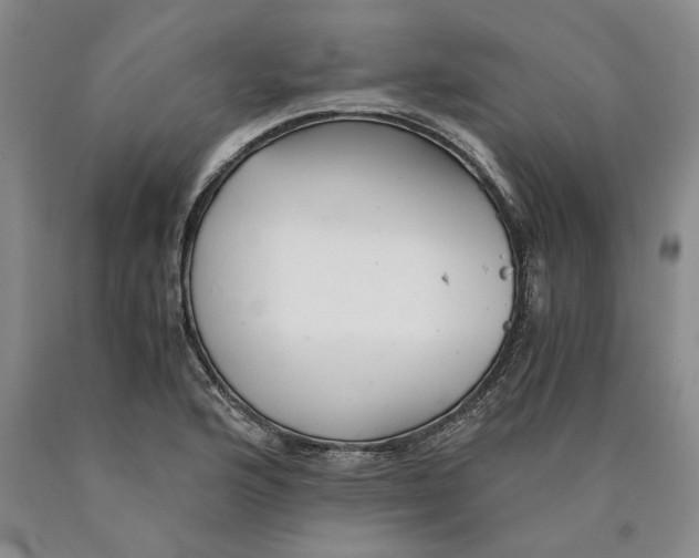 X0000089921176200707271730