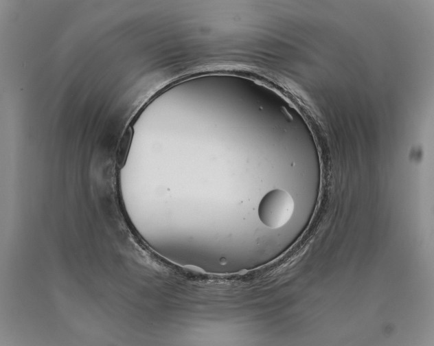 X0000089921177200707271730