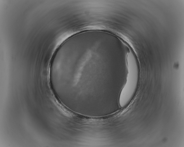 X0000089921179200707271730