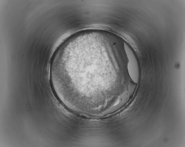 X0000089921180200707271730