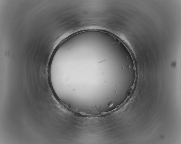 X0000089921181200707271730