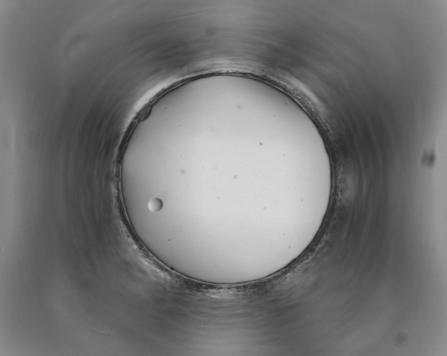 X0000089921182200707271730