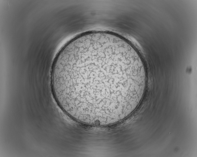 X0000089921183200707271730