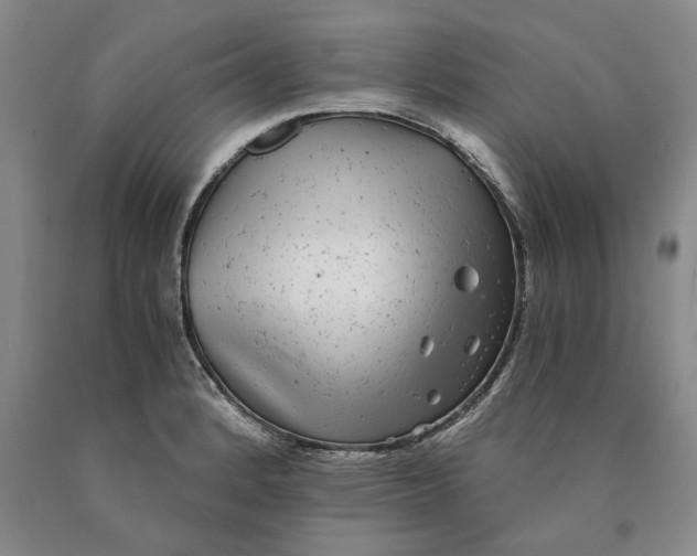 X0000089921184200707271730