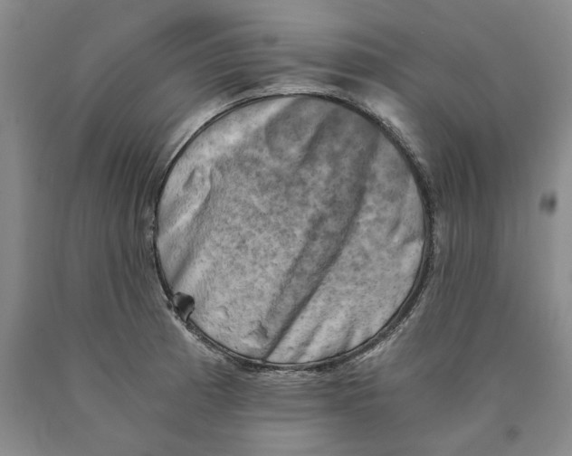 X0000089921185200707271730