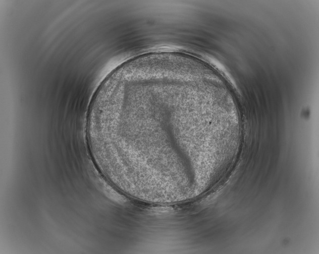 X0000089921186200707271730