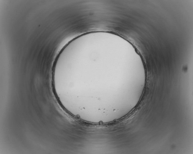 X0000089921187200707271730