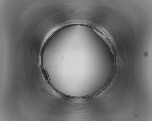 X0000089921188200707271730