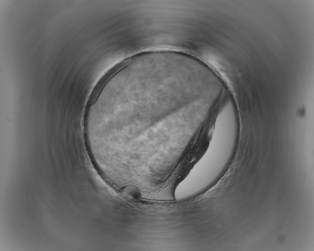 X0000089921189200707271730