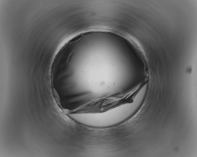 X0000089921192200707271730