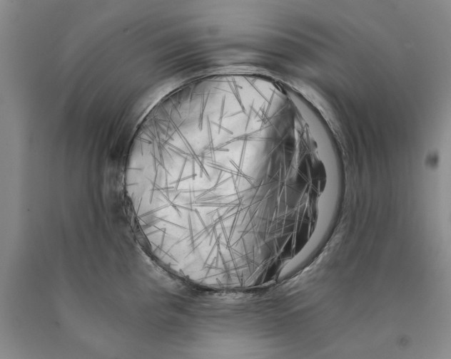 X0000089921193200707271730