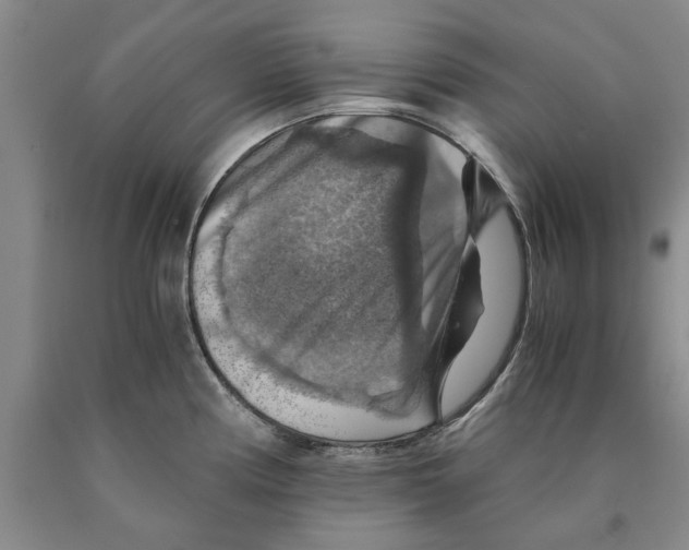 X0000089921194200707271730